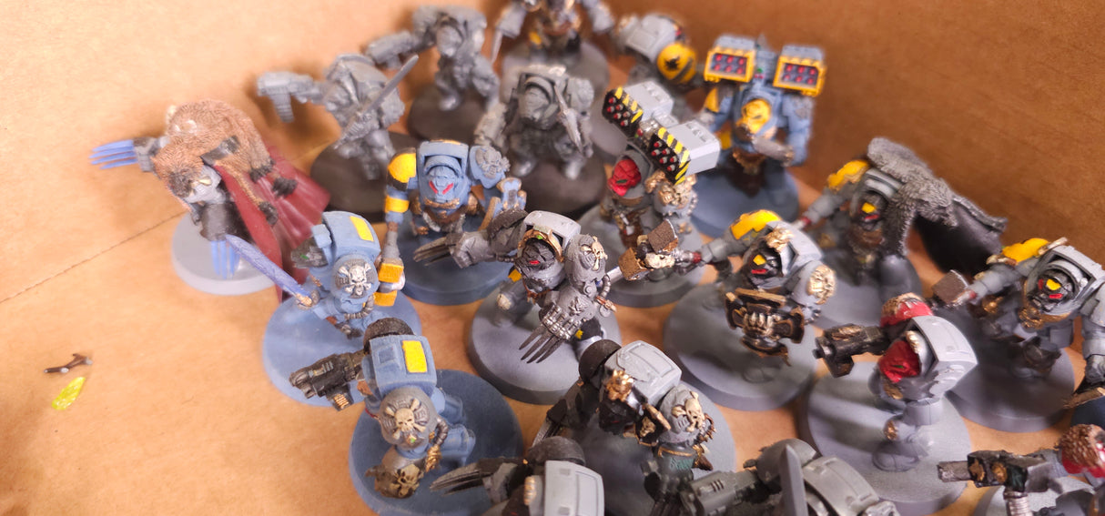 Warhammer 40,000 - Space Marines - Firstborn & Space Wolves Project Army