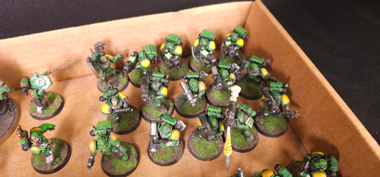 Warhammer 40,000 - Space Marines - Sentinels of the Forge Painted Army #1