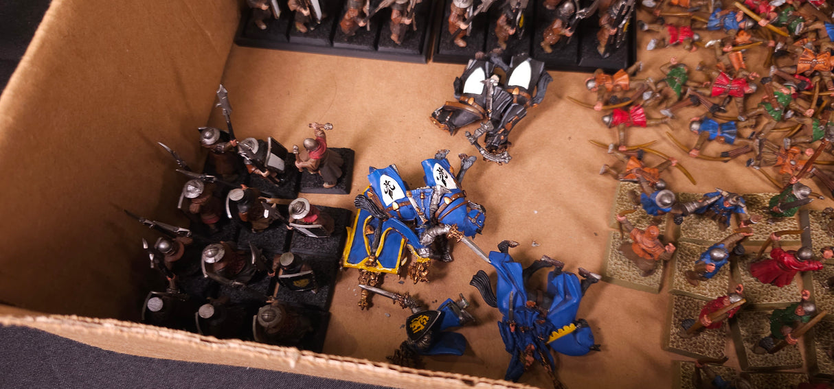 Warhammer: The Old World - Kingdom of Bretonnia - Painted Cavalry & Infantry Army
