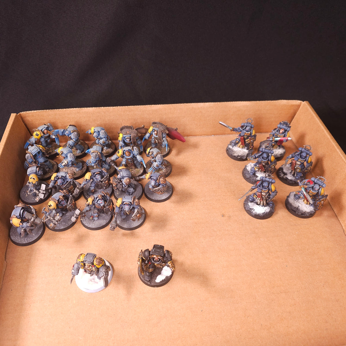 Warhammer 40,000 - Space Wolves - Painted Terminator & Bladeguard Veteran Force