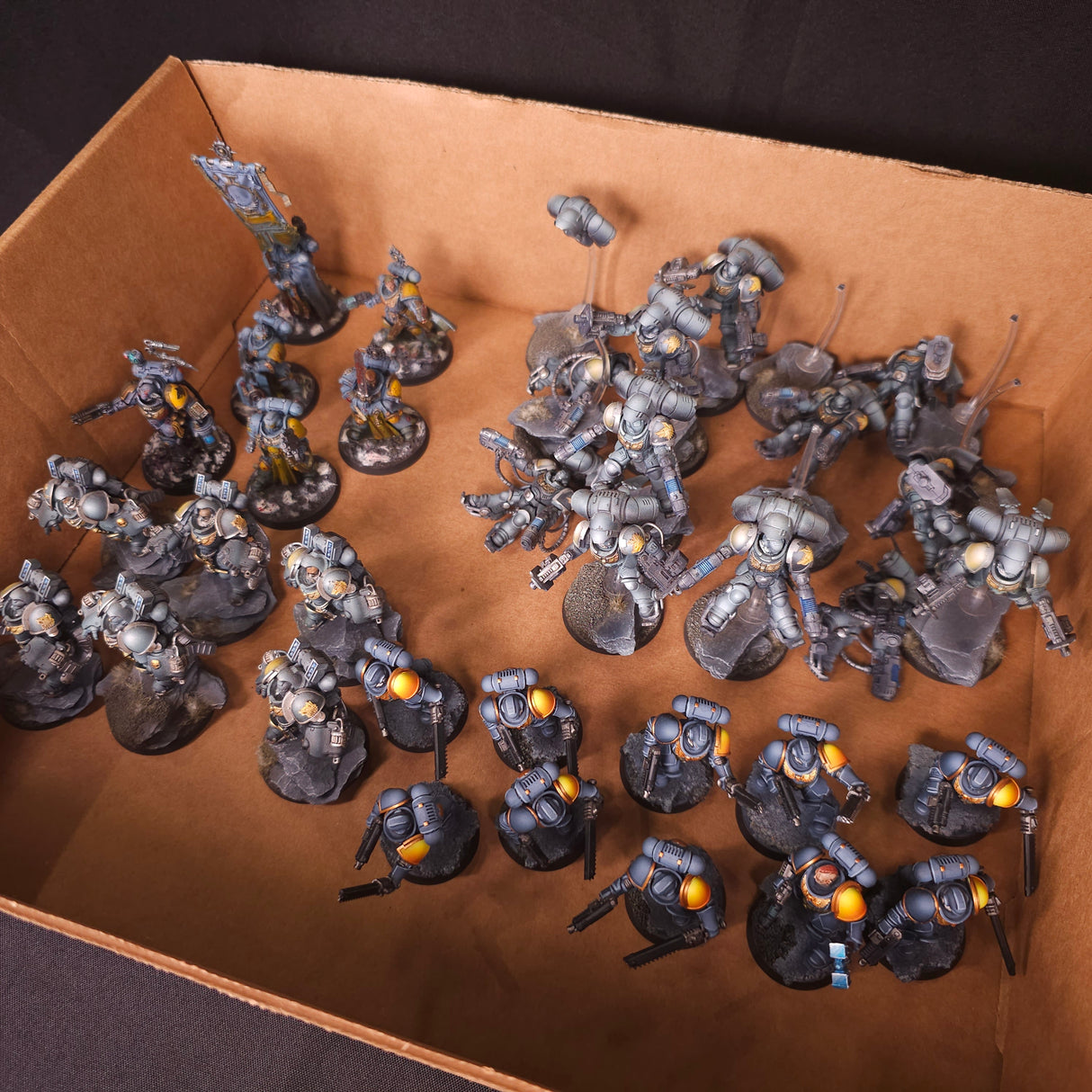 Warhammer 40,000 - Space Wolves - Painted Primaris Infantry & Jump Pack Force #2