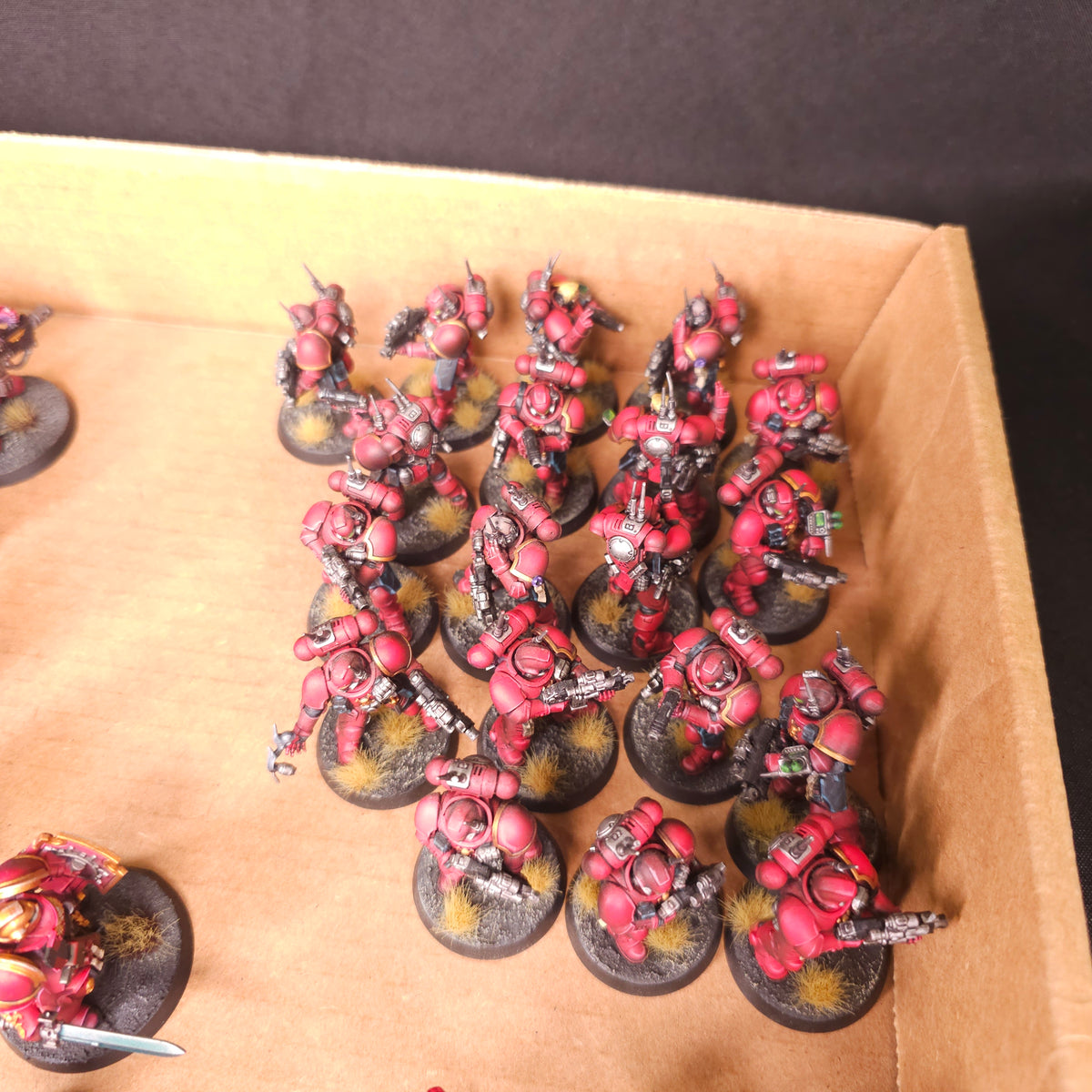 Warhammer 40,000 - Blood Angels - Painted Primaris Infantry Force