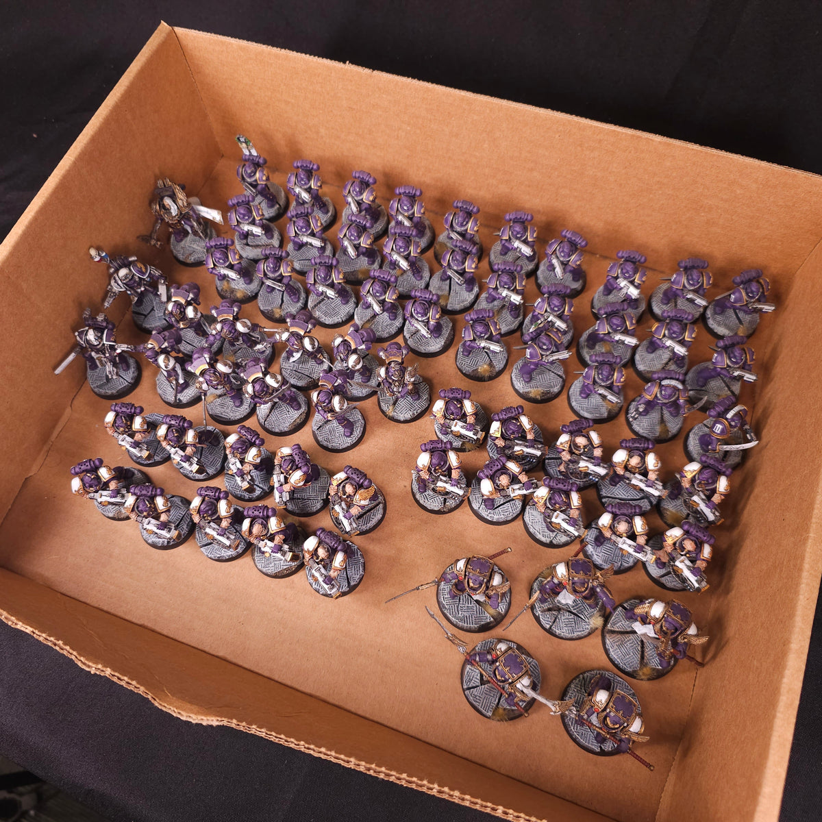 Emperor's Children L012 — whole-lot overview