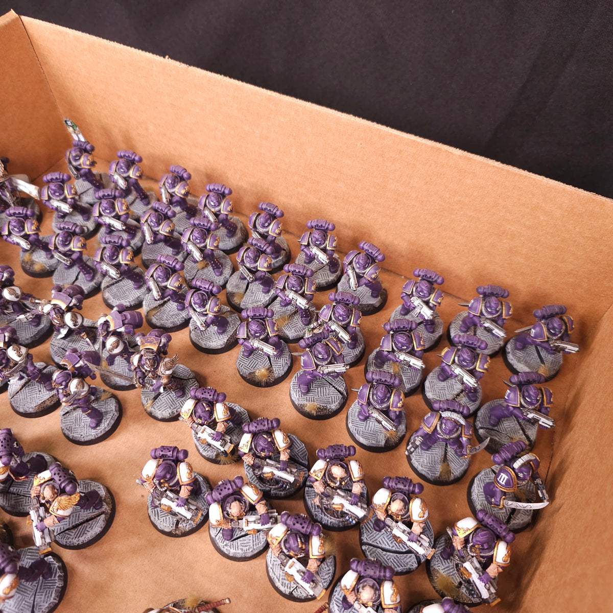 Emperor's Children L012 — detail or alternate view 9