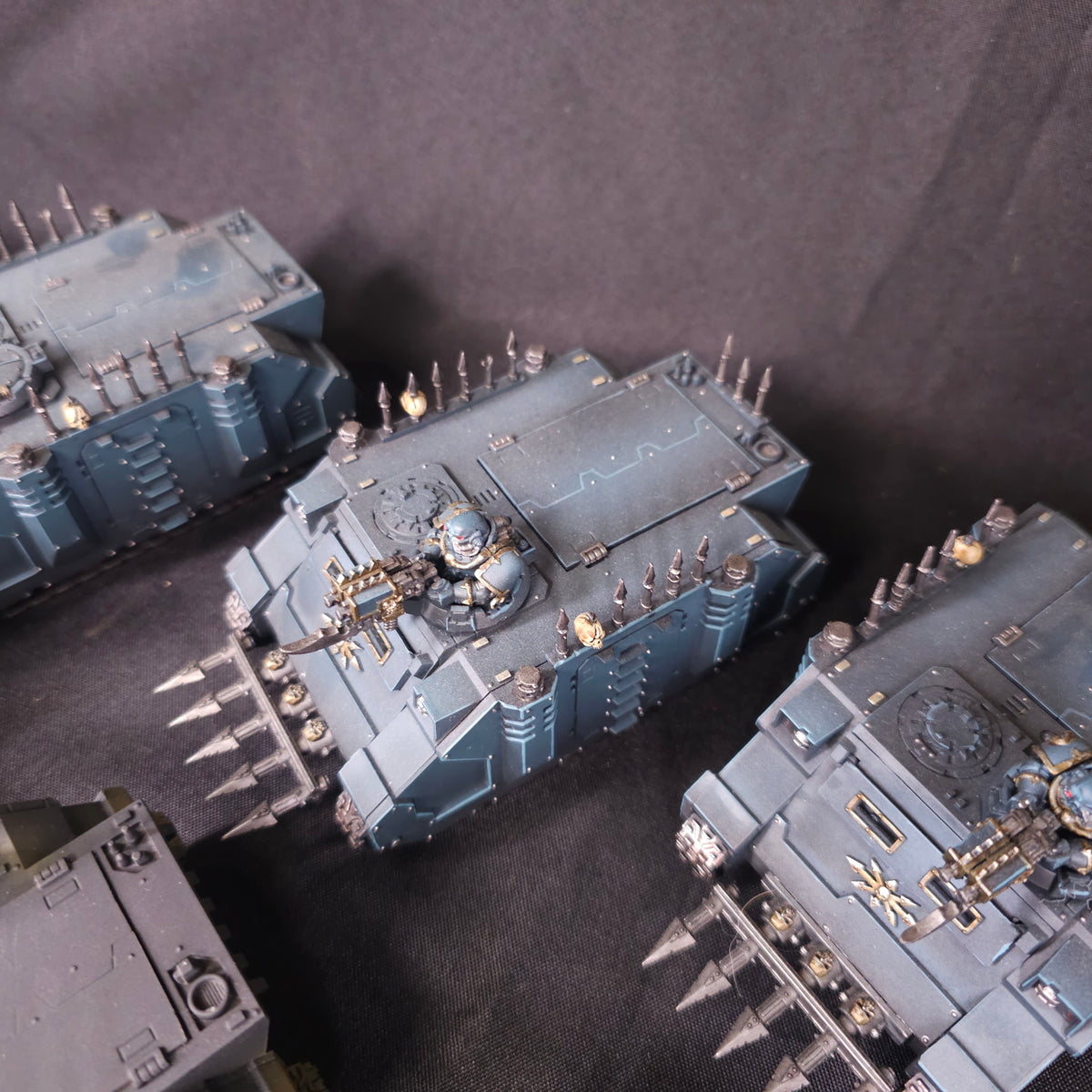 Painted Rhino Transport Group - Black and Blue - detail view 5