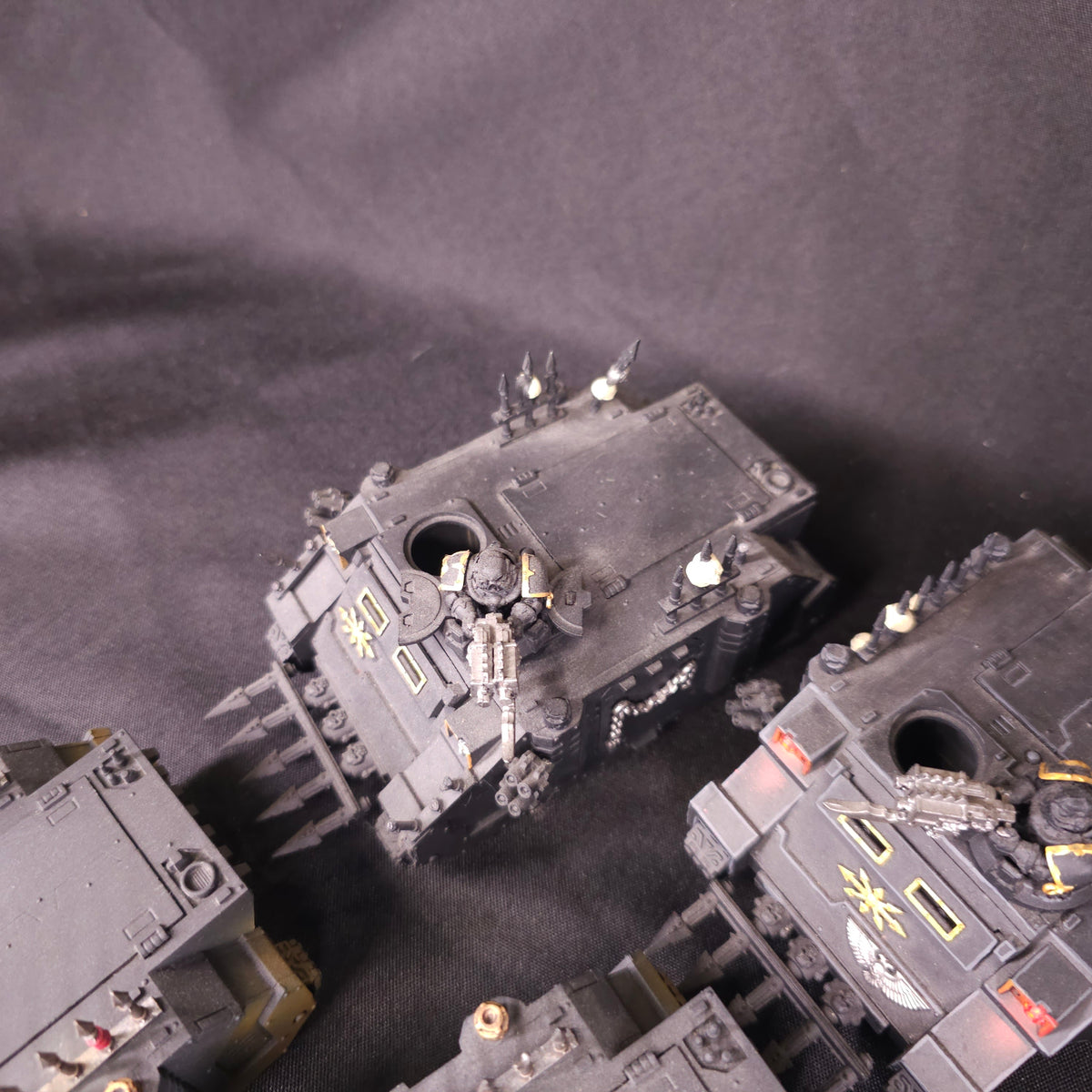 Painted Black-and-Gold Rhino Transport Group - detail view 5