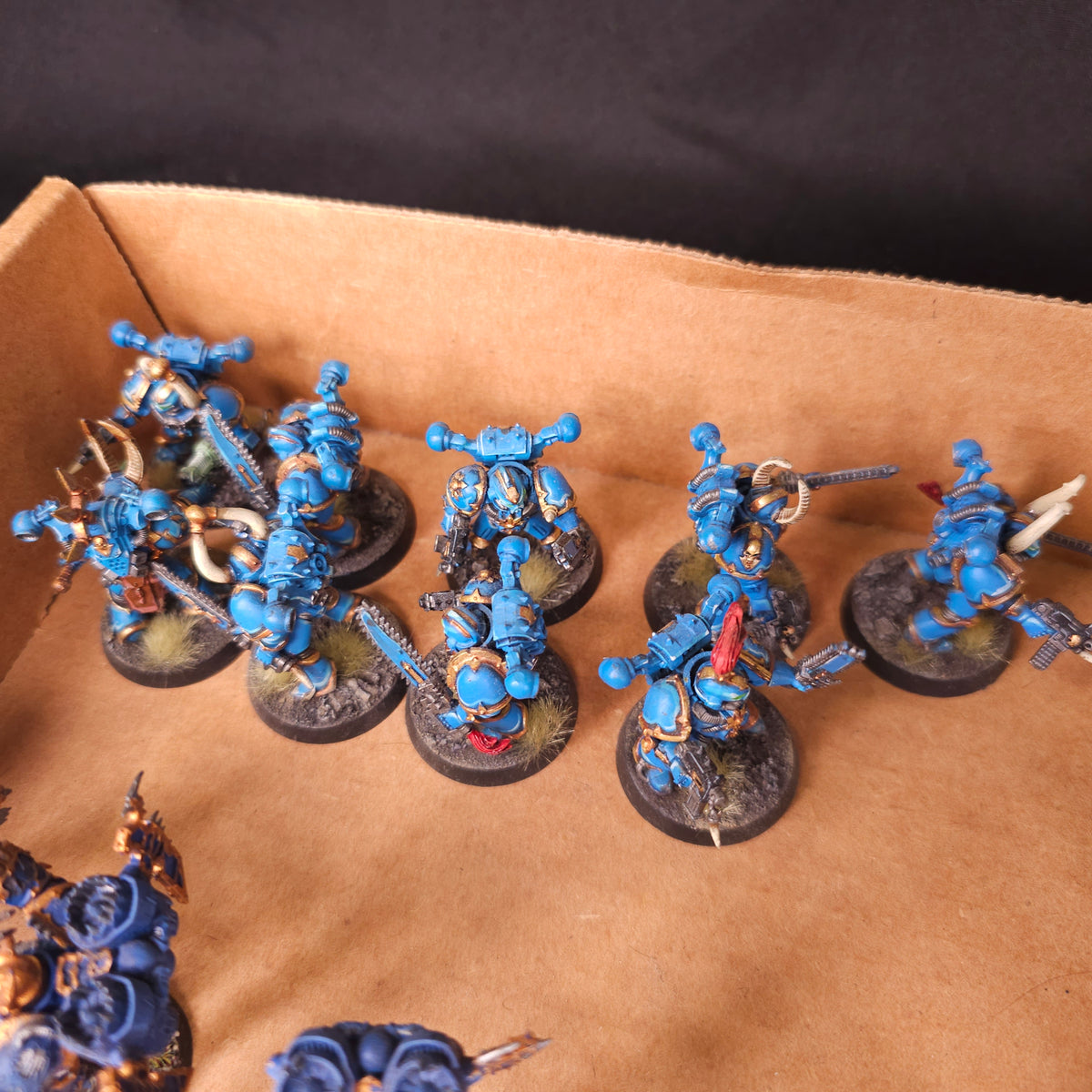 Painted Mixed Infantry and Mutated Marines - detail 5