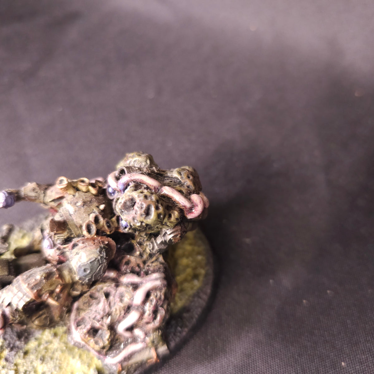 Typhus on Three-Wheeled Bike - Conversion - photograph 3, alternate view or detail