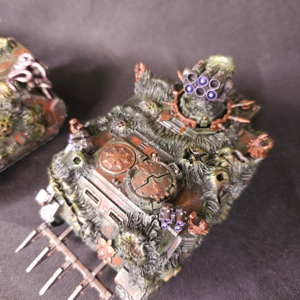 Heavily Mutated Rhino Transports - photograph 2, alternate view or detail