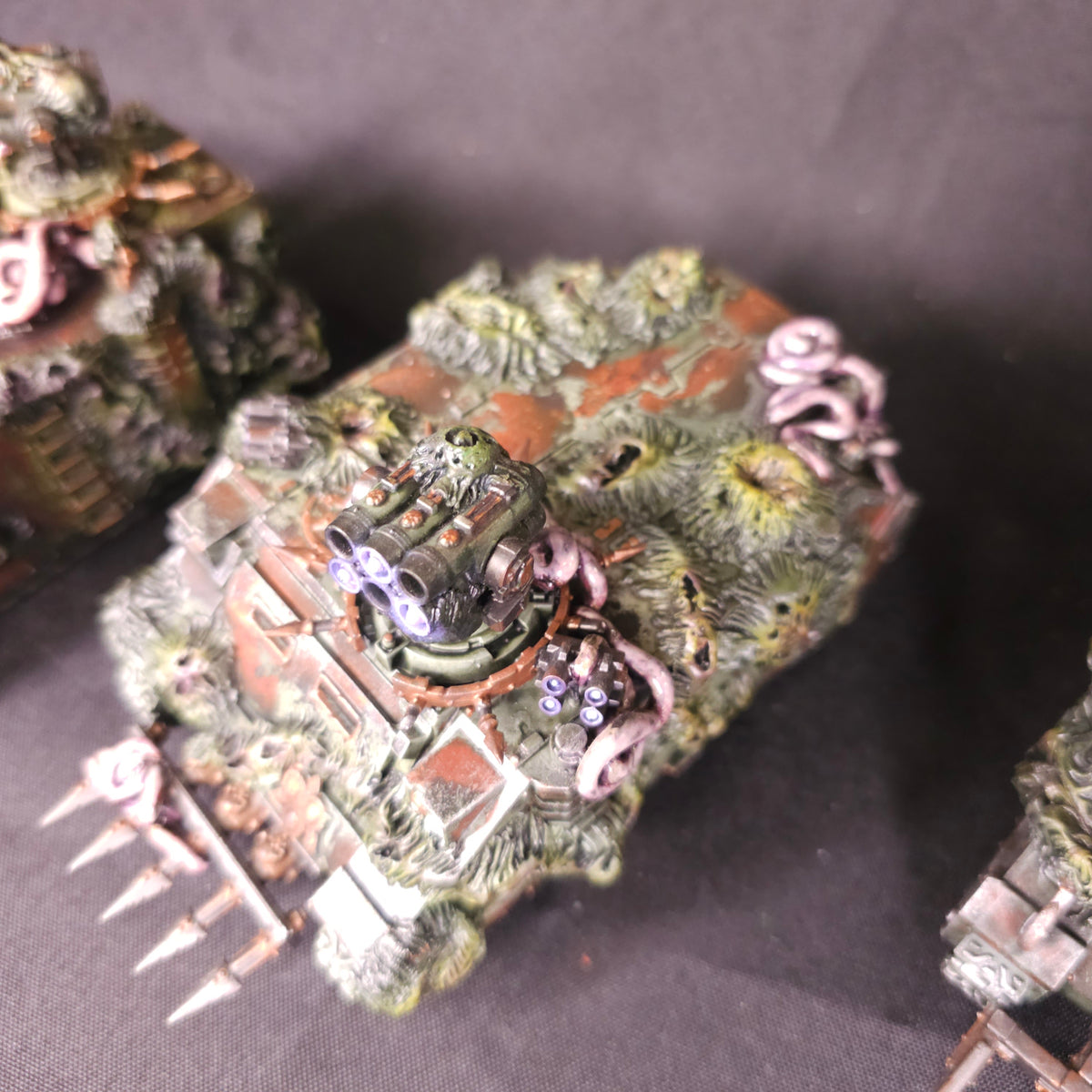 Heavily Mutated Rhino Transports - photograph 3, alternate view or detail