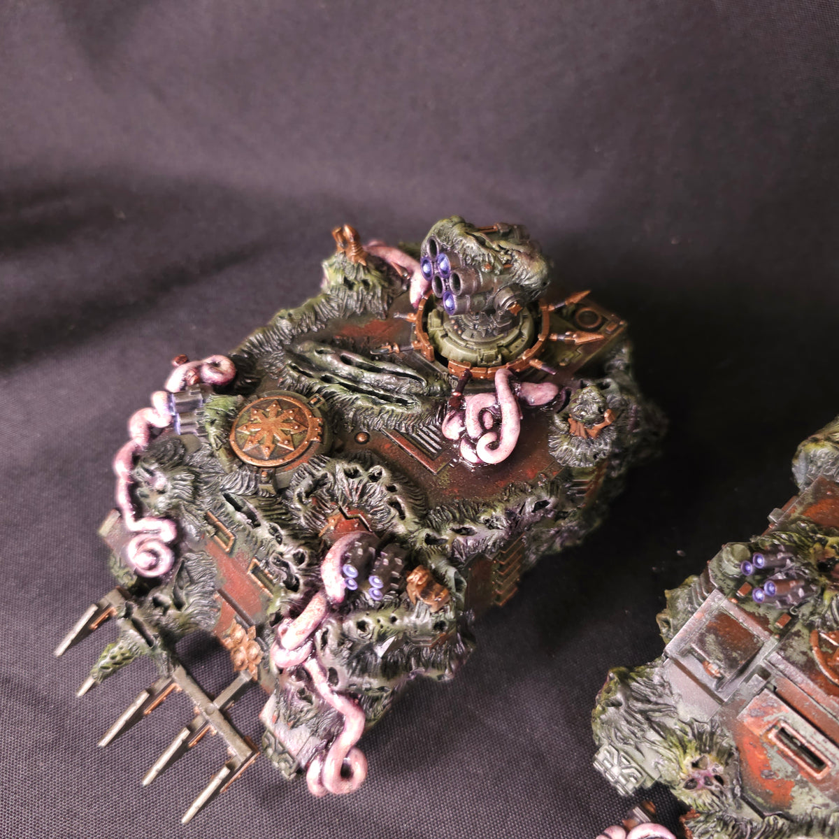 Heavily Mutated Rhino Transports - photograph 4, alternate view or detail
