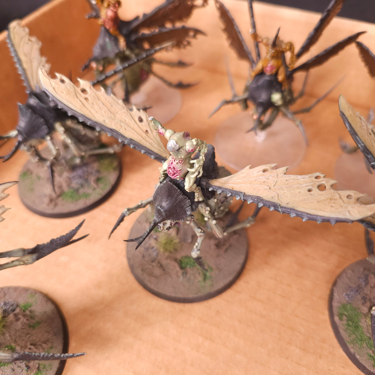 Plague Drones of Nurgle - photograph 3, alternate view or detail
