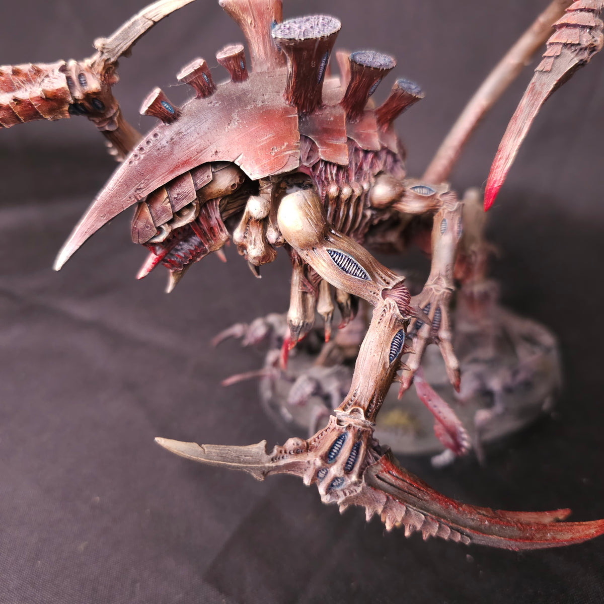 Tyranids Dimachaeron, detail view 2