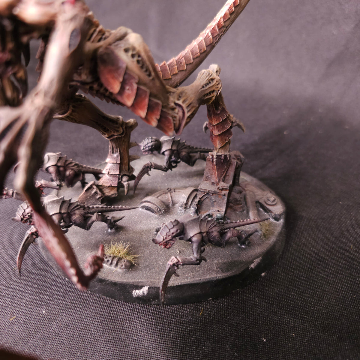 Tyranids Dimachaeron, detail view 3