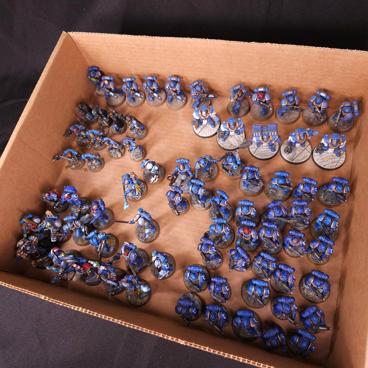 Ultramarines Infantry Veterans and Characters, full lot overview