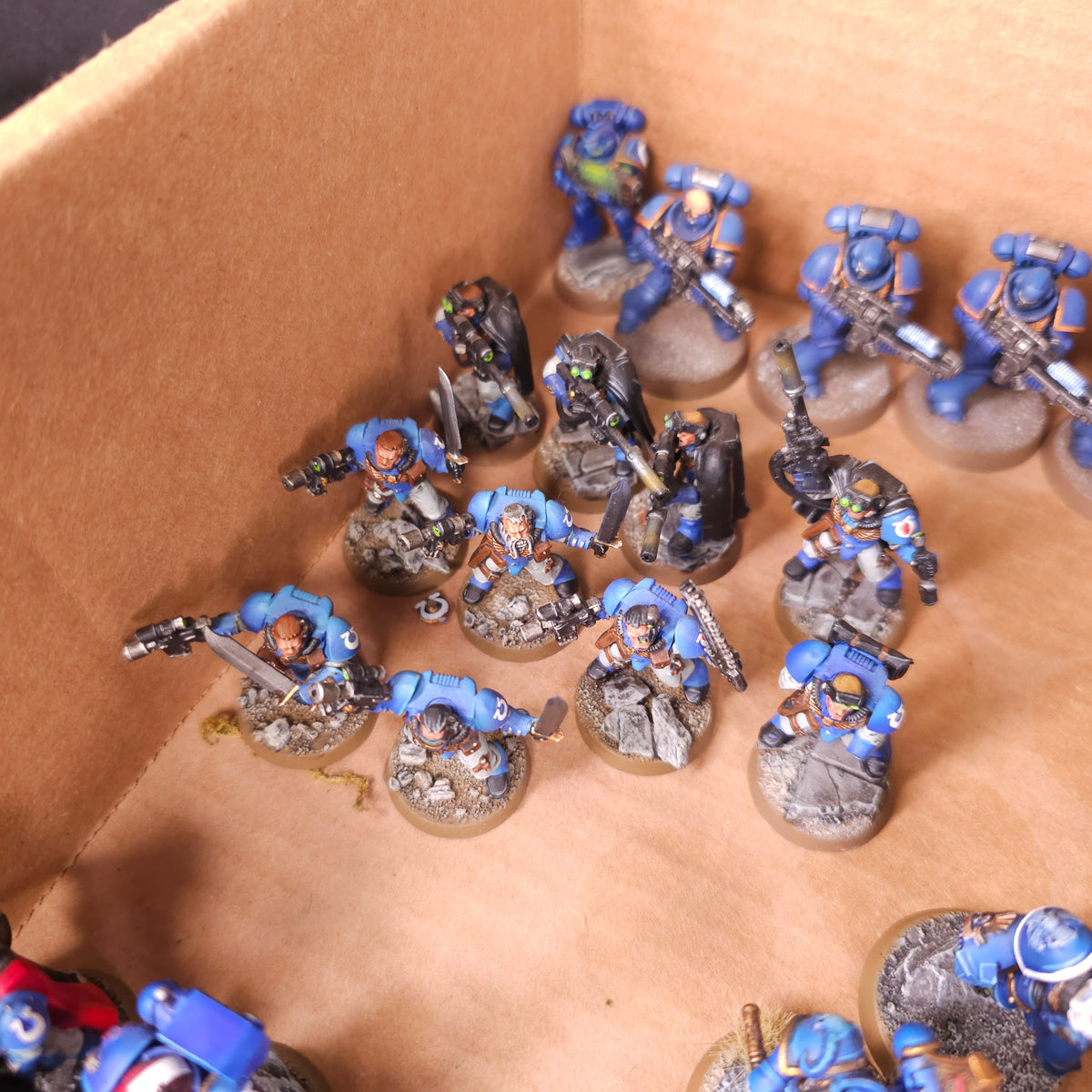 Ultramarines Infantry Veterans and Characters, detail view 7