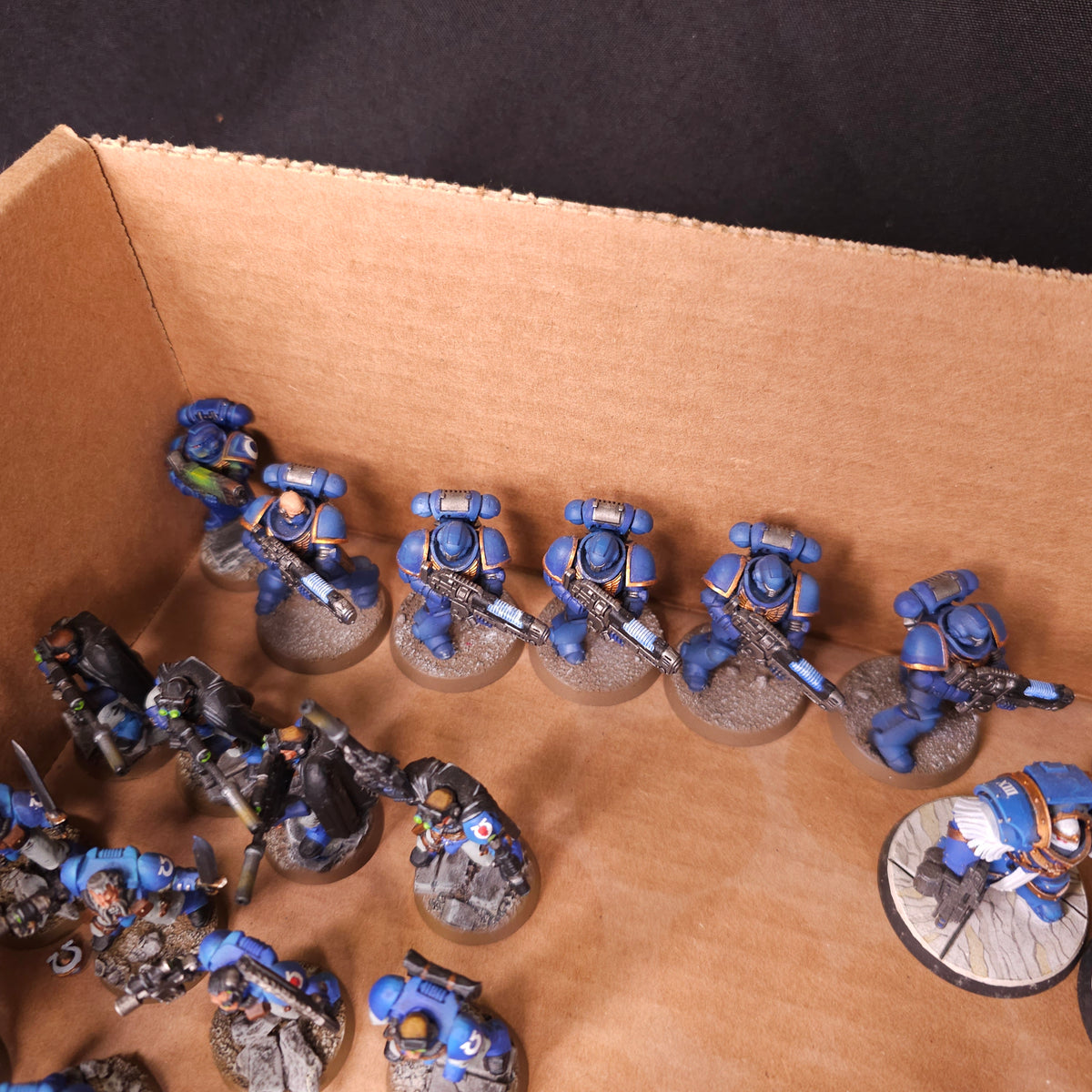Ultramarines Infantry Veterans and Characters, detail view 8