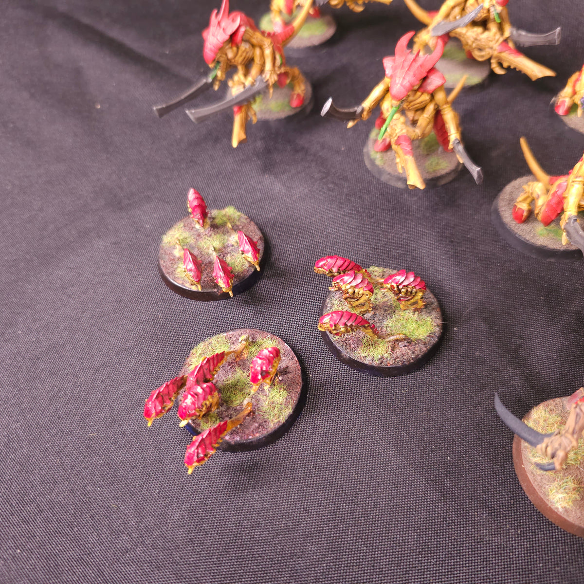 Tyranids - Warriors and Ripper Swarms - alternate or detail view 6