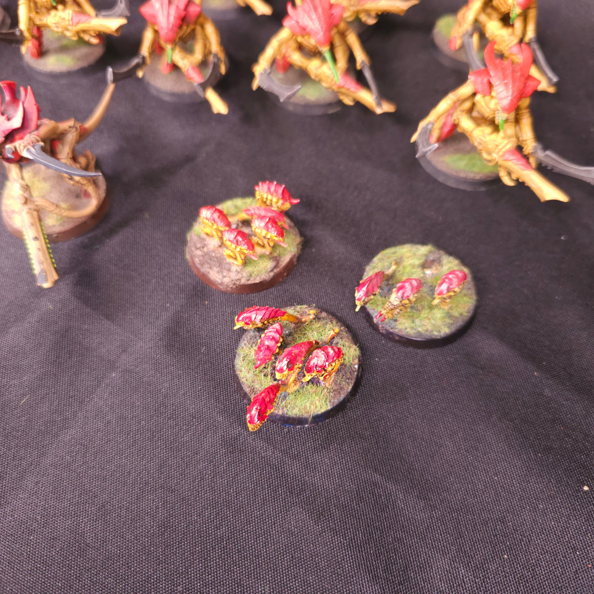 Tyranids - Warriors and Ripper Swarms - alternate or detail view 7