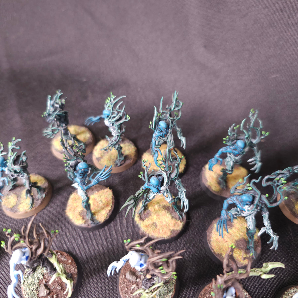 Sylvaneth - Spite-Revenant Collection - alternate or detail view 4