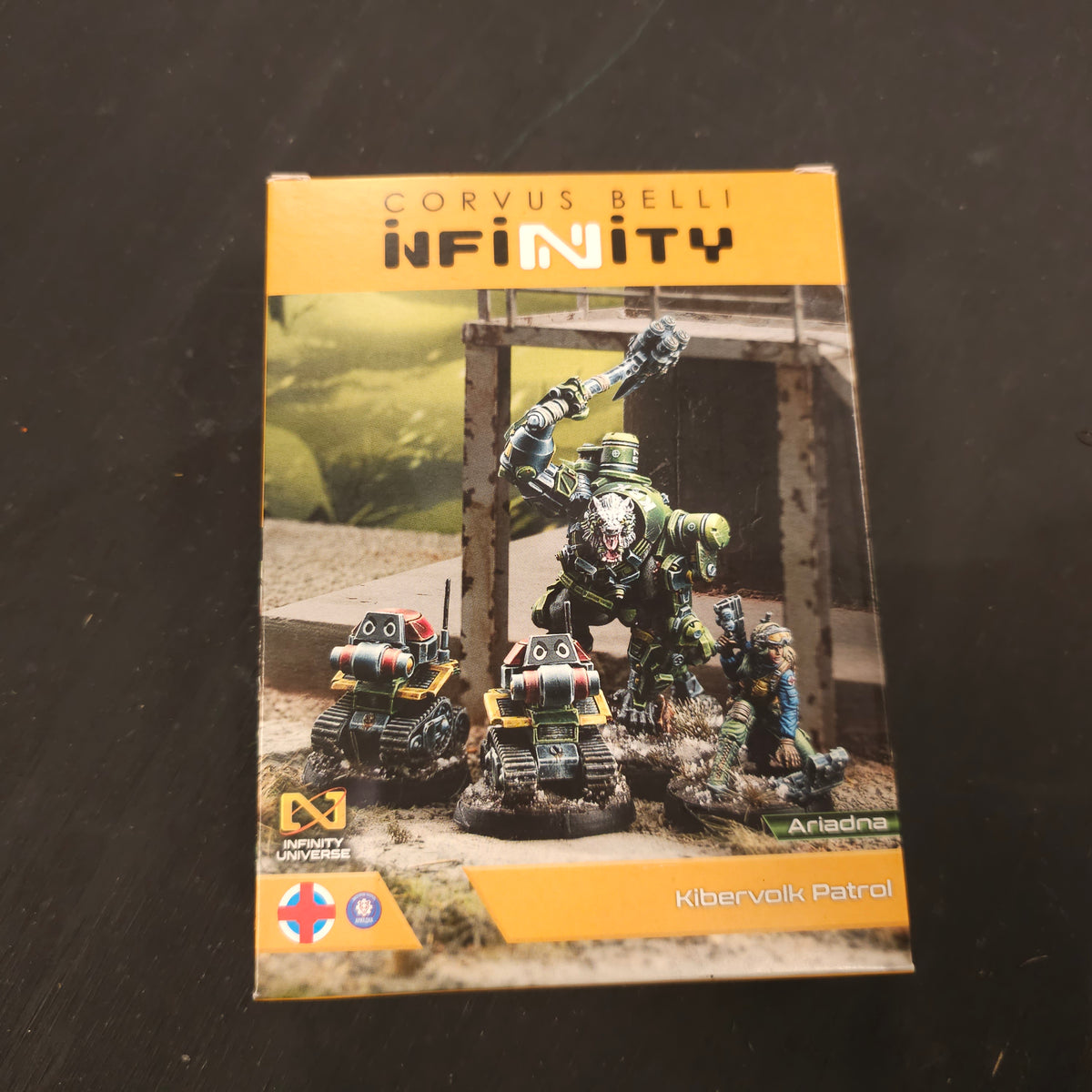 Kibervolk Patrol actual box — reverse showing printed contents and painted examples
