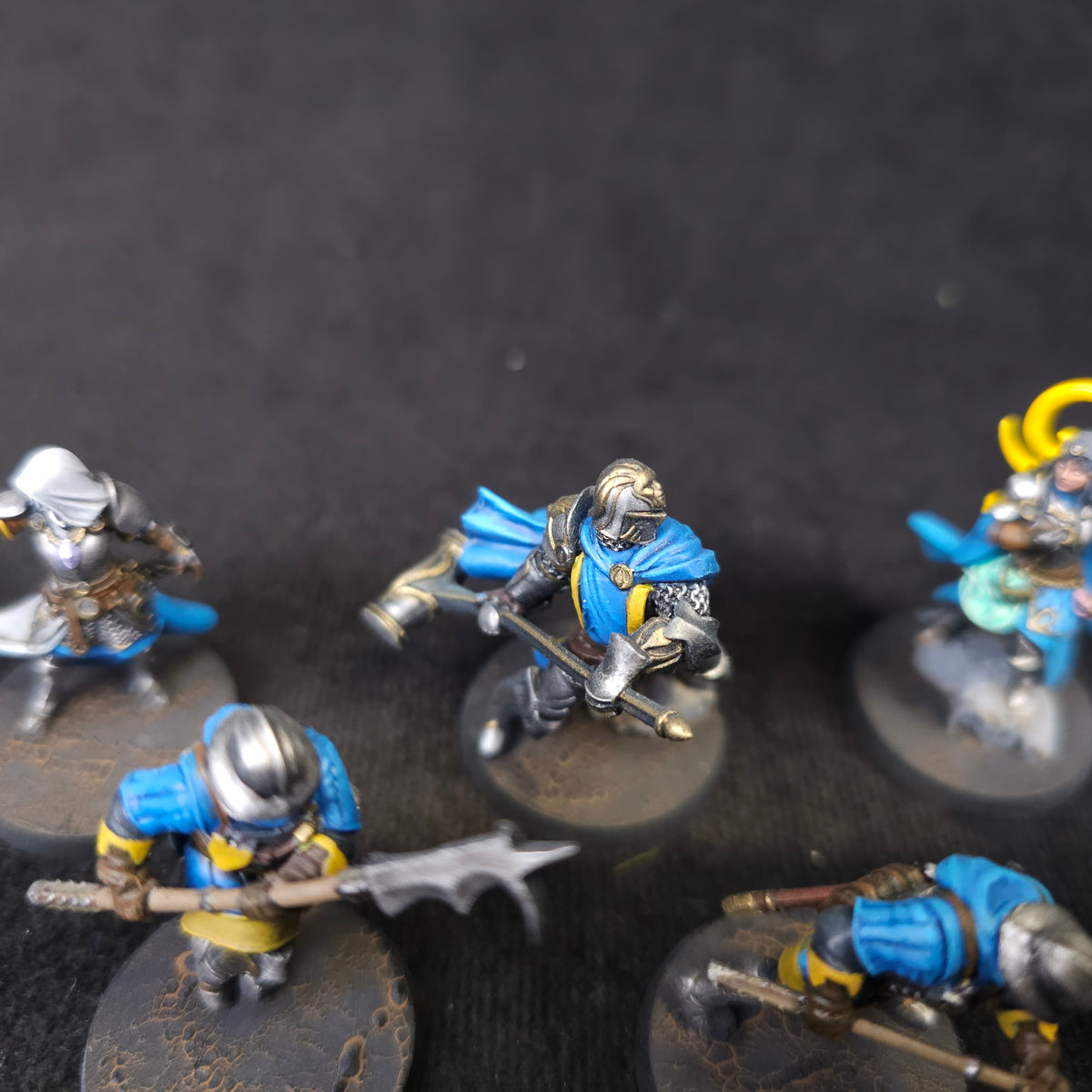 Blue Griffon Knights — detail or alternate view 6
