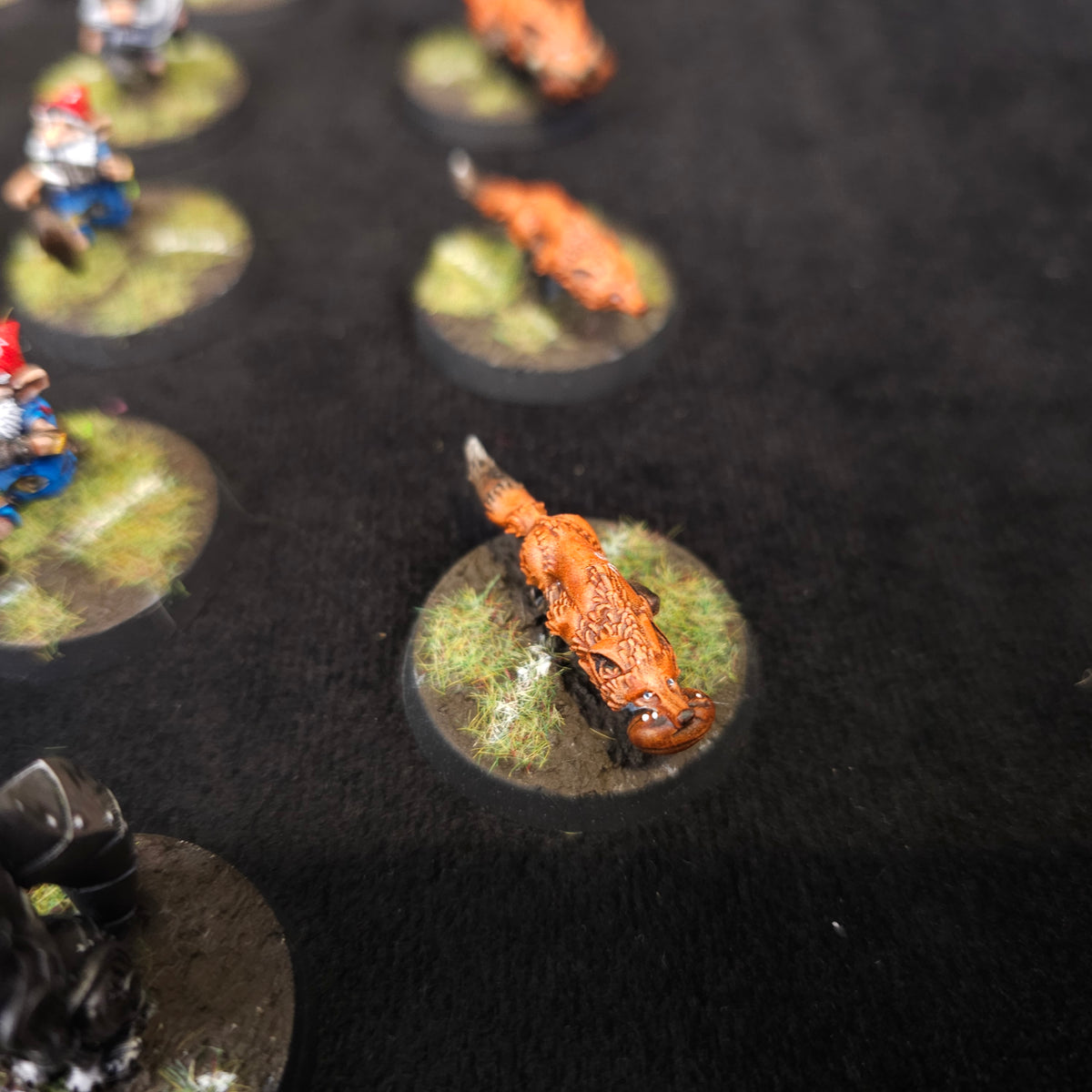 Gnomes Mixed Team — detail or alternate view 12