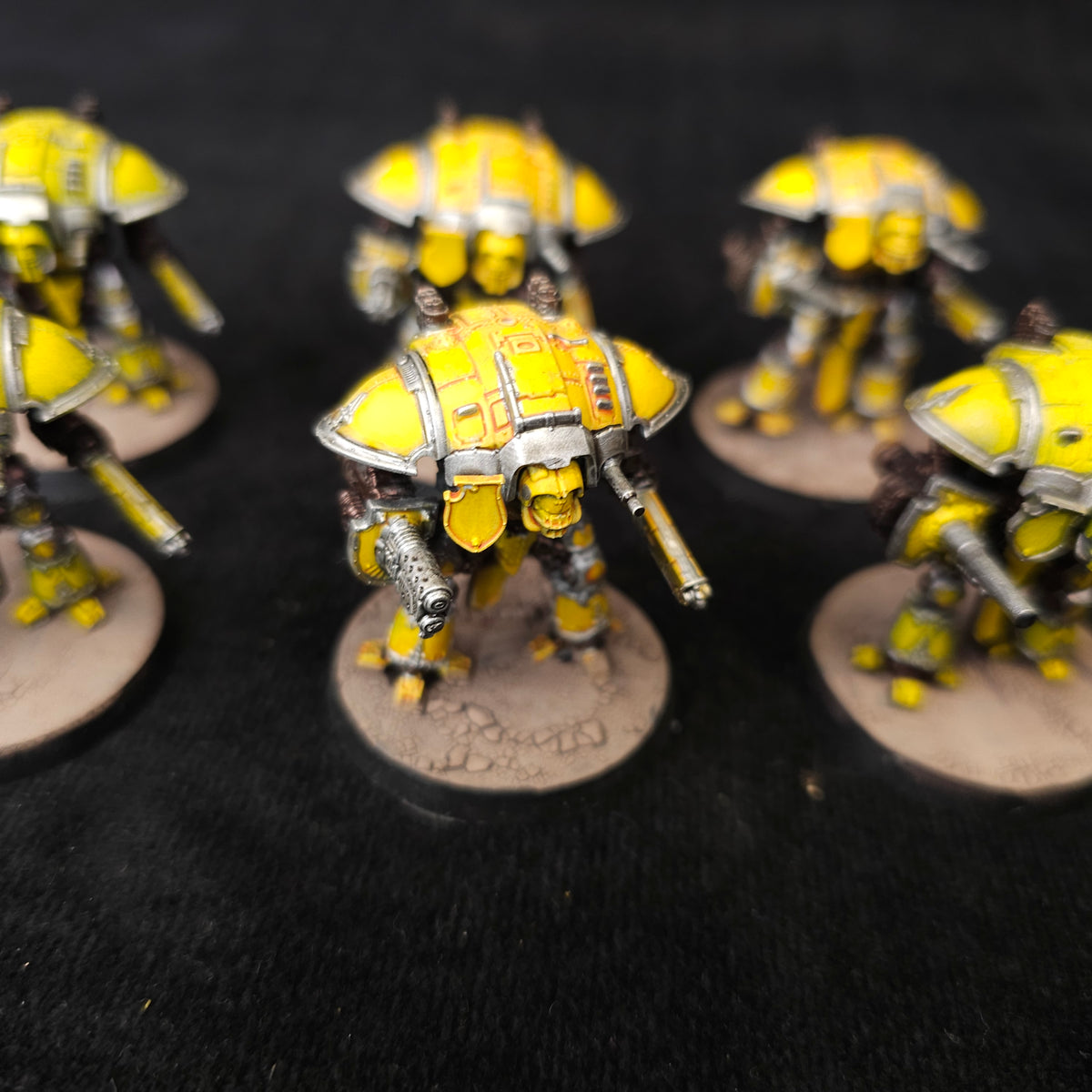 Yellow Questoris Knights - detail view 2