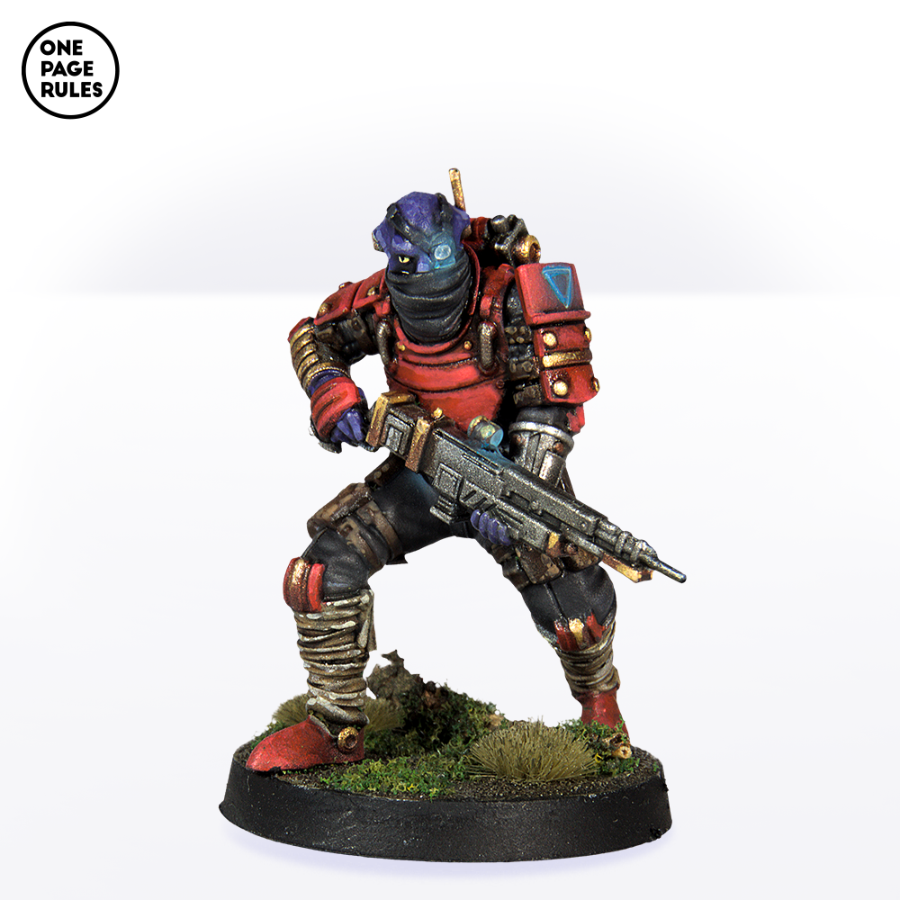 Dynasty Carbine Scouts