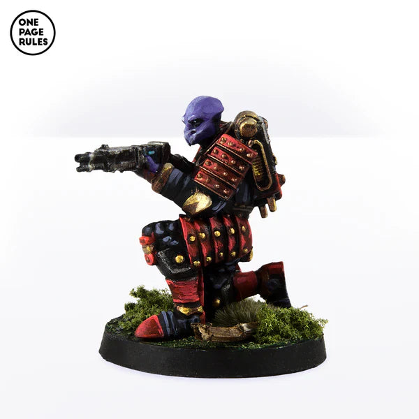 Dynasty Shotgun Warriors