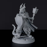 Dragonborn Female Wizard with Shield and Mace