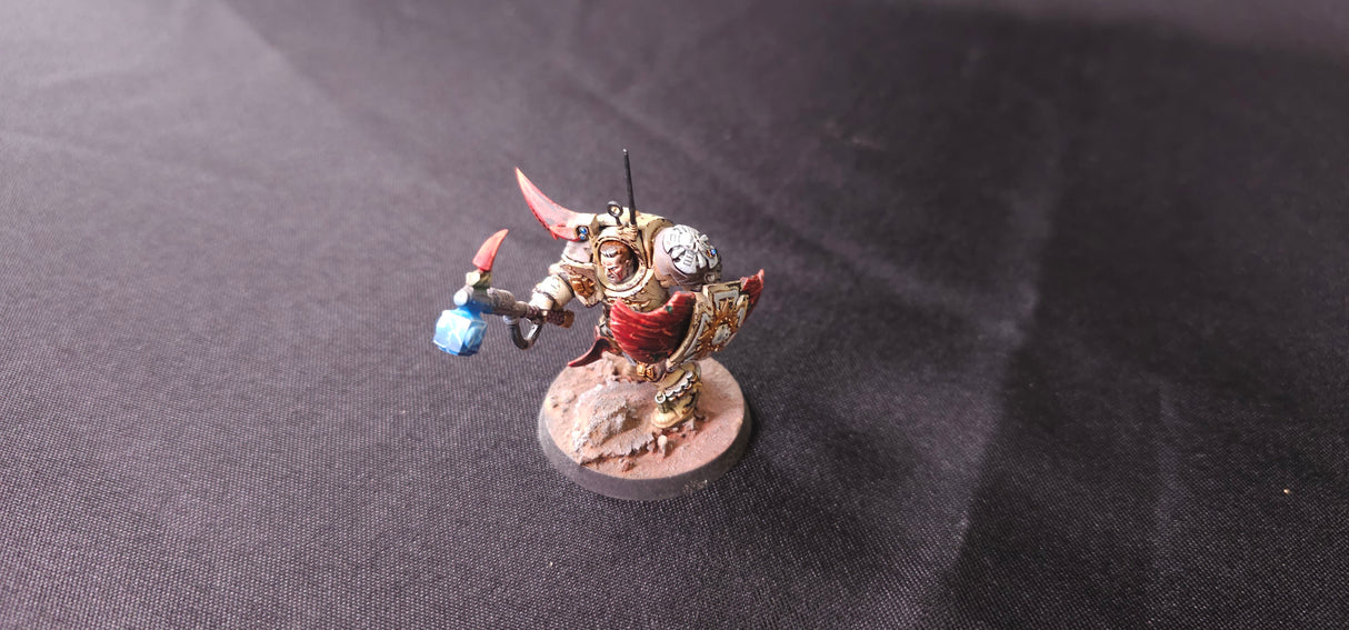 Warhammer 40,000 - Space Marines - Death of a Chapter Narrative Army - Painted by Best Overall Painting