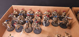 Warhammer 40,000 - Adeptus Custodes - Painted Army with Grav Vehicles & Jetbikes