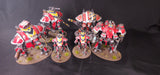 Warhammer 40,000 - Imperial Knights - Magnetized Painted Army - Epic Duck Studios Paintwork