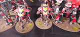 Warhammer 40,000 - Imperial Knights - Magnetized Painted Army - Epic Duck Studios Paintwork