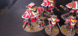 Warhammer 40,000 - Imperial Knights - Magnetized Painted Army - Epic Duck Studios Paintwork