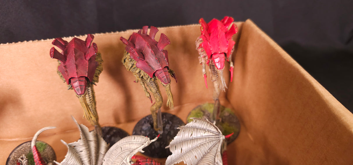 Warhammer 40,000 - Tyranids - Converted Shrikes, Forge World Malanthropes & Spore Models
