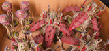 Warhammer 40,000 - Tyranids - Painted Sporocyst & Mucolid Spore Lot