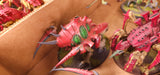 Warhammer 40,000 - Tyranids - Painted Monster Army