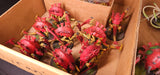 Warhammer 40,000 - Tyranids - Painted Monster Army