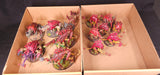 Warhammer 40,000 - Tyranids - Painted Monster Army #2