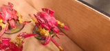 Warhammer 40,000 - Tyranids - Painted Monster Army #2