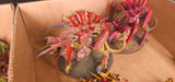 Warhammer 40,000 - Tyranids - Painted Swarm & Support Army