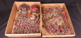 Warhammer 40,000 - Tyranids - Painted Tervigon & Swarm Army