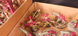 Warhammer 40,000 - Tyranids - Painted Tervigon & Swarm Army