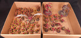 Warhammer 40,000 - Tyranids - Painted Vanguard, Swarm & Monster Army