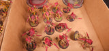 Warhammer 40,000 - Tyranids - Painted Vanguard, Swarm & Monster Army