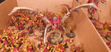 Warhammer 40,000 - Tyranids - Painted Vanguard, Swarm & Monster Army