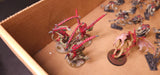 Warhammer 40,000 - Tyranids - Painted Flying Monsters & Space Hulk Genestealers