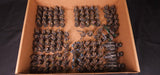Horus Heresy - Solar Auxilia - High-Quality Painted Forge World Army